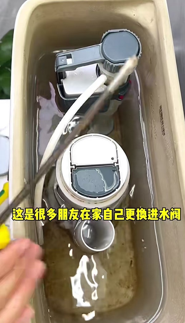 微信图片_20240728085547.jpg