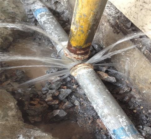 1765430376424345.jpg tliyuelian123-5-2.jpg