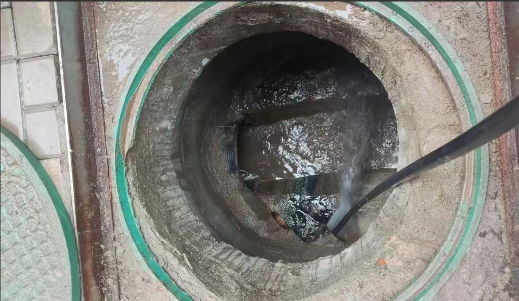 微信图片_20240618165719.jpg